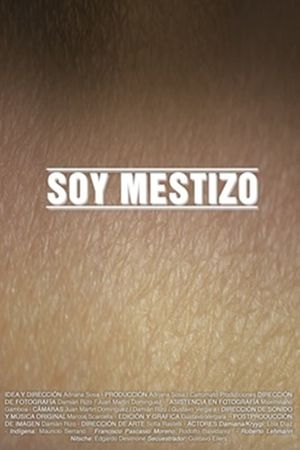 Soy mestizo's poster image