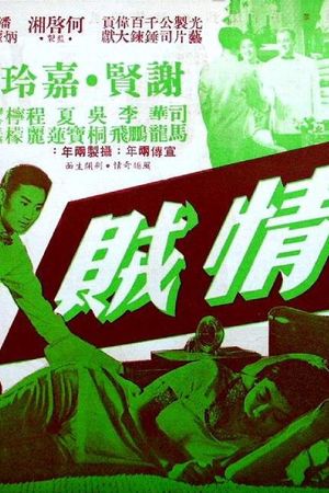 情贼's poster