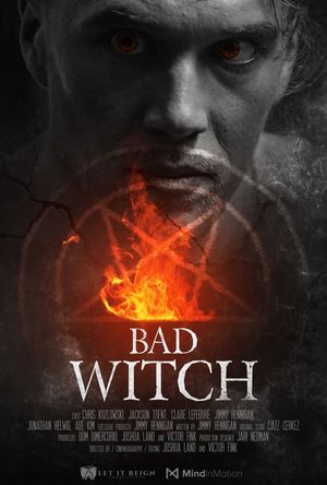 Bad Witch's poster