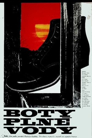 Boty plné vody's poster