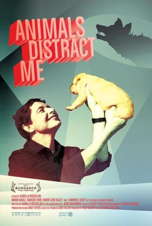 Animals Distract Me's poster