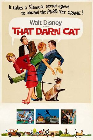 That Darn Cat!'s poster