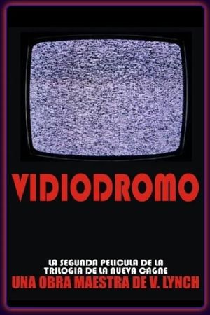 Vidiodromo's poster