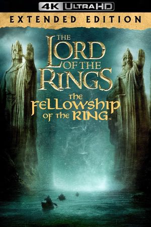 The Lord of the Rings: The Fellowship of the Ring's poster