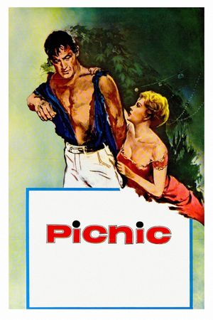 Picnic's poster