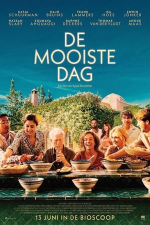 De mooiste dag's poster image