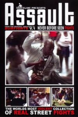 Assault: The World’s Most Violent Collection of Real Street Fights's poster