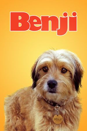 Benji's poster