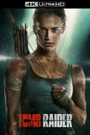 Tomb Raider's poster