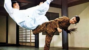 Lady Kung Fu's poster