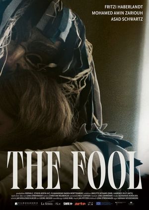 The Fool's poster image