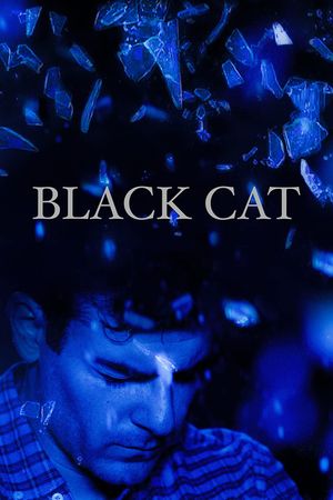 Black Cat's poster
