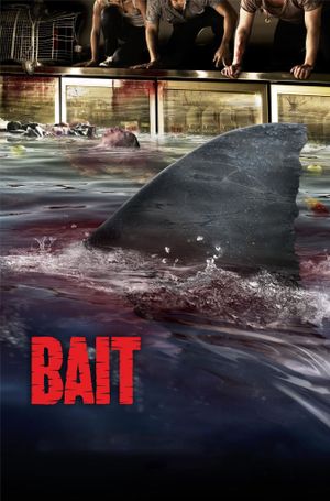 Bait's poster