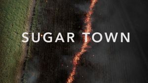 Sugar Town's poster