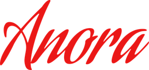 Anora's poster