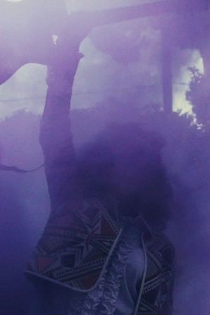 Jimi Could Have Fallen from the Sky's poster