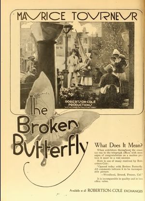 The Broken Butterfly's poster