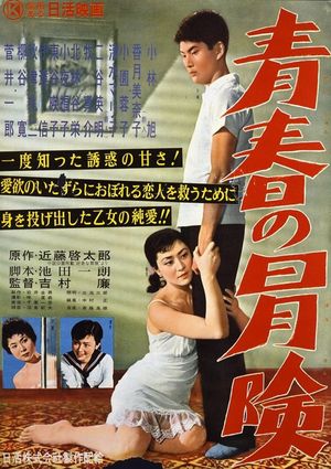 Seishun no bôken's poster