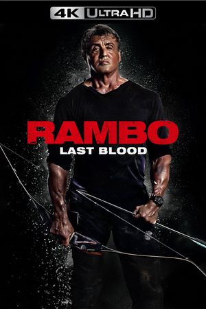 Rambo: Last Blood's poster
