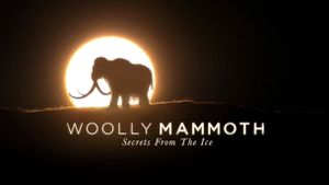 Woolly Mammoth: Secrets from the Ice's poster