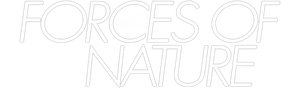 Forces of Nature's poster