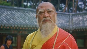 Spiritual Kung Fu's poster