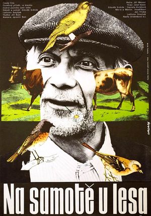 Na samote u lesa's poster