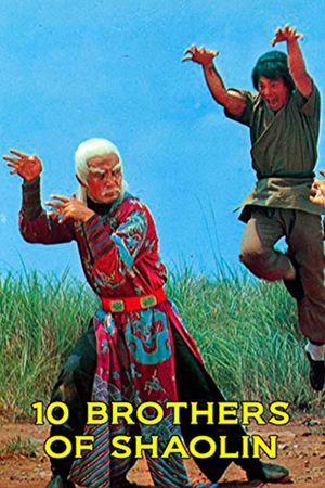10 Brothers of Shaolin's poster image