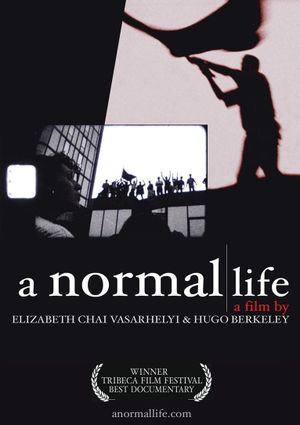 A Normal Life's poster