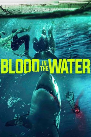 Blood in the Water's poster