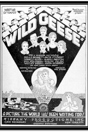 Wild Geese's poster
