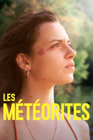 Meteorites's poster