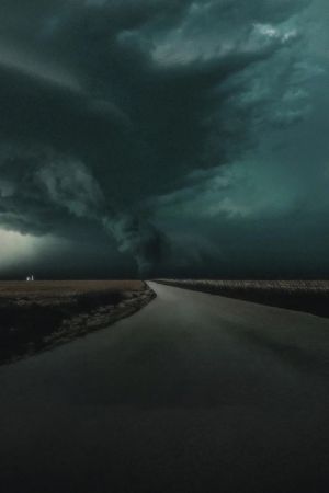 The Twister: Caught in the Storm's poster