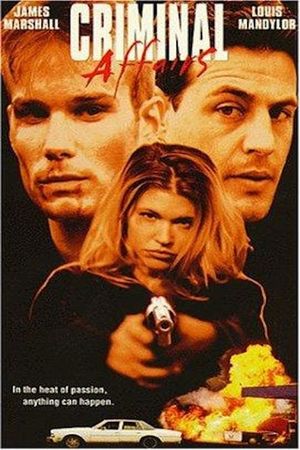 Criminal Affairs's poster