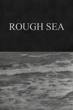 Rough Sea's poster