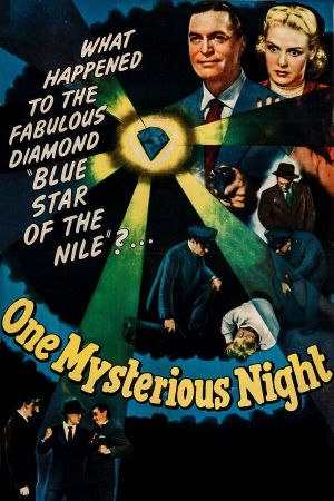 One Mysterious Night's poster image