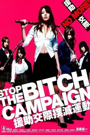 Stop the Bitch Campaign's poster