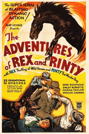 The Adventures of Rex and Rinty's poster