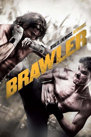 Brawler's poster