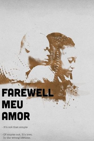 Farewell Meu Amor's poster