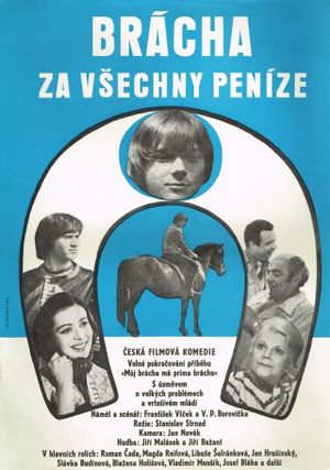 Brácha za vsechny penize's poster