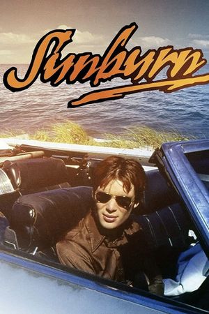 Sunburn's poster