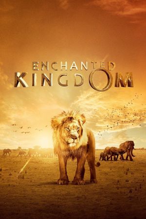 Enchanted Kingdom's poster image