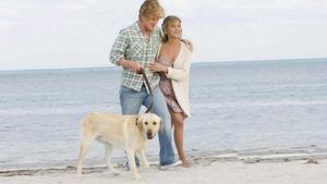 Marley & Me's poster