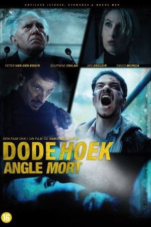Blind Spot's poster