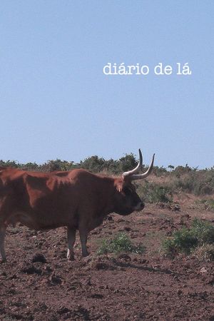 Diary From There's poster