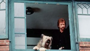 Top Dog's poster