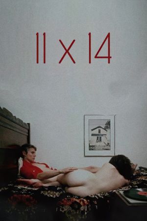 11 x 14's poster