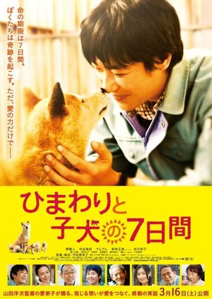 Seven Days of Himawari and Her Puppies's poster