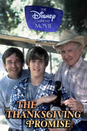 The Thanksgiving Promise's poster